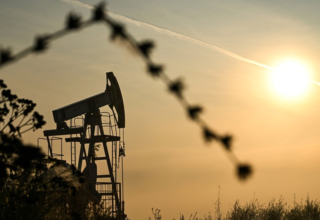 wp header logo177262561043509916