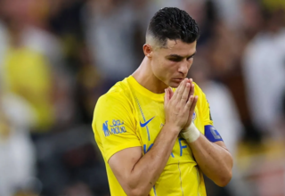 wp header logo17726292501337476057