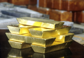 wp header logo17726364111016184538