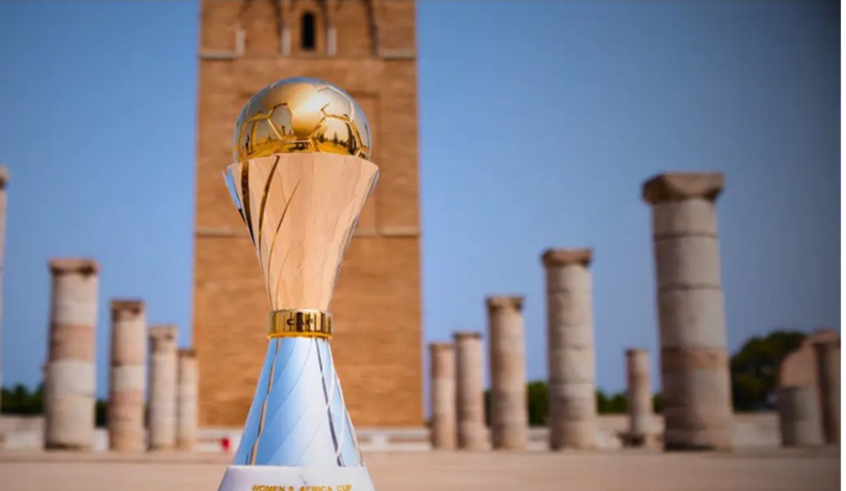 wp header logo1772643609317960788