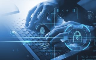 wp header logo1772654411216727857