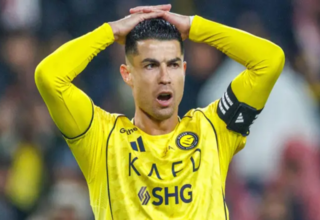 wp header logo1772658010119495187