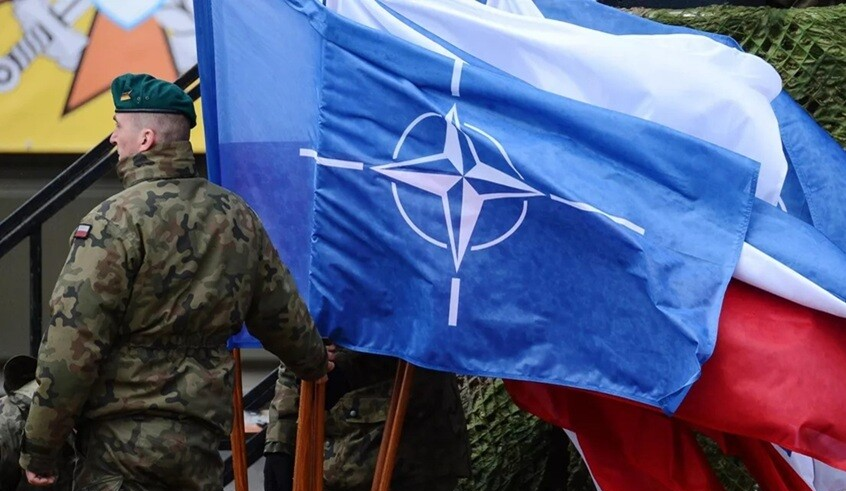 wp header logo17726652521956143284