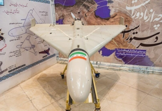 wp header logo1772672412724667256