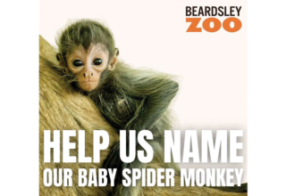 wp header logo17726724241999707447