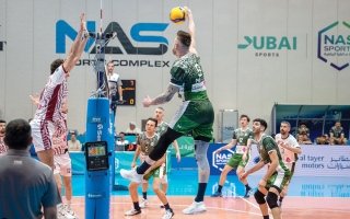 wp header logo1772672430161721171