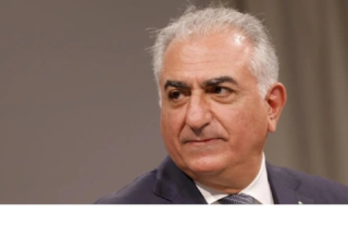 wp header logo17726760111595597304