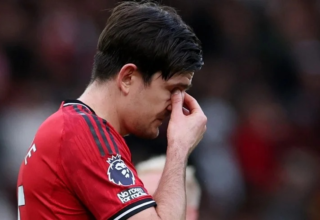 wp header logo17726796071819734038