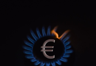 wp header logo17727120091186005143