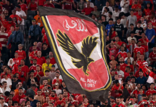 wp header logo17727228512029469600