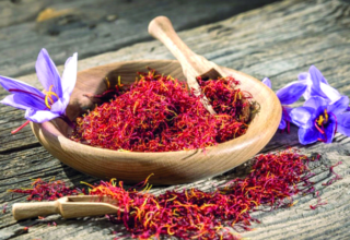 wp header logo17727300071243418259