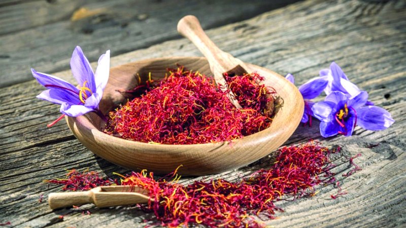 wp header logo17727300071243418259