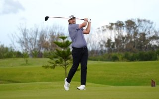 wp header logo17727300071998615337