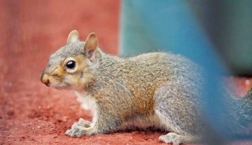 wp header logo17727300152083412972