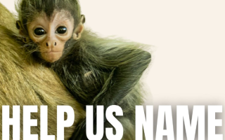 wp header logo17727300241833211015