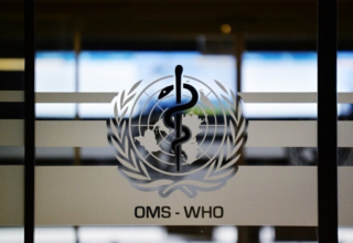 wp header logo1772737257706453482