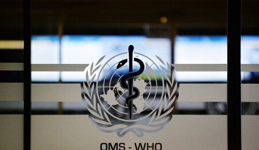 wp header logo1772737257706453482