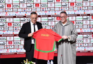 wp header logo17727588101119649086