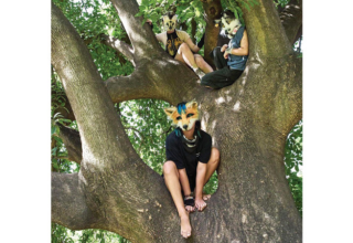 wp header logo17727588161724253284