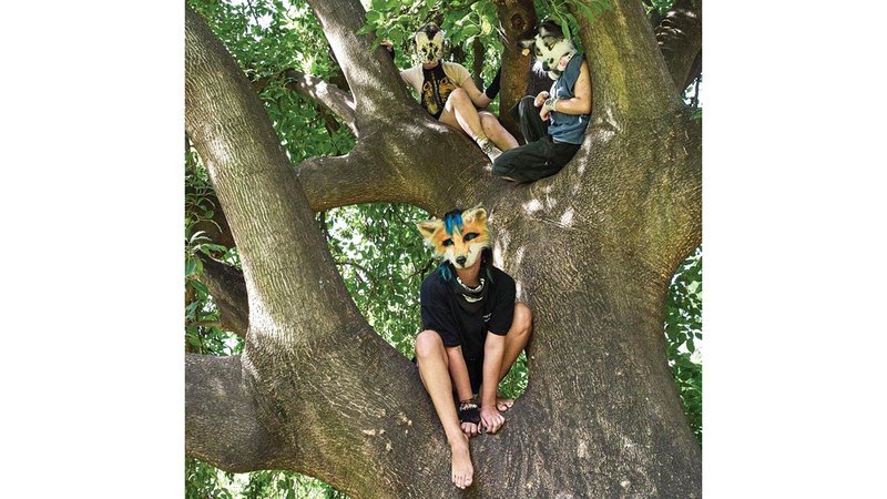 wp header logo17727588161724253284