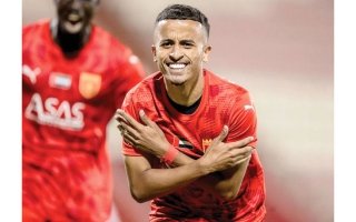 wp header logo17727588271962879962