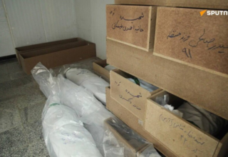 wp header logo17727696471414002135