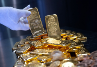 wp header logo17727840411113552308