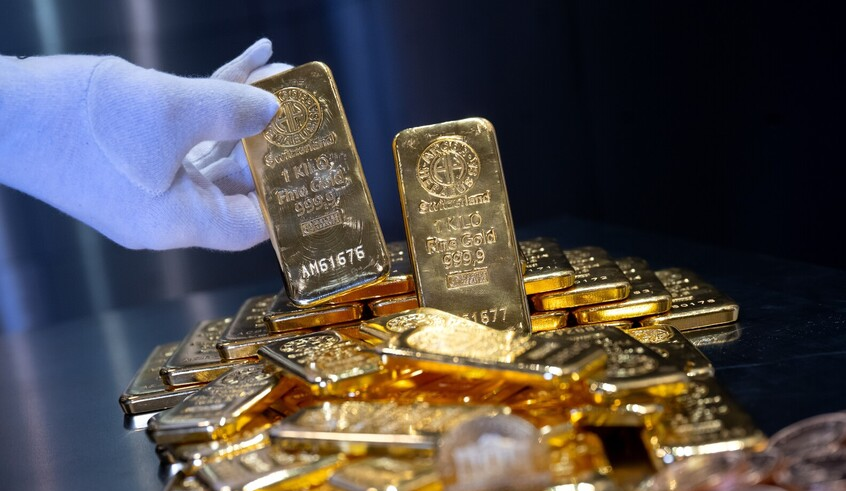 wp header logo17727840411113552308