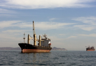 wp header logo17727876232045549838