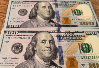 wp header logo17727912151417306396