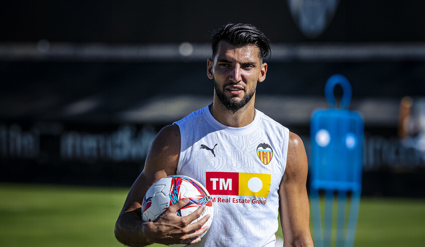 wp header logo17727912151511219896