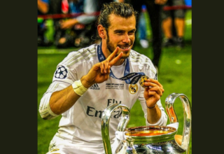 wp header logo17727984102077430599