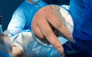 wp header logo1772802012301445566