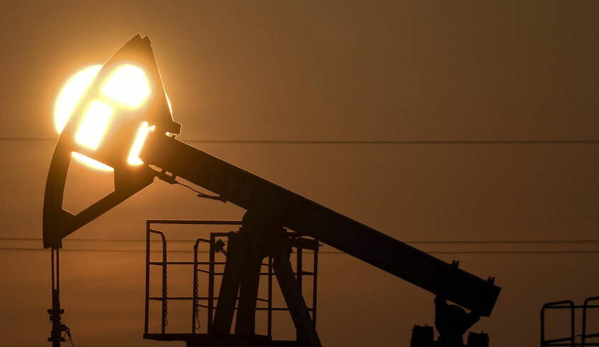 wp header logo1772802013214660055