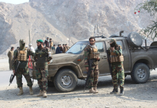 wp header logo1772802030187107744