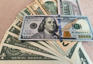 wp header logo1772805609130504856