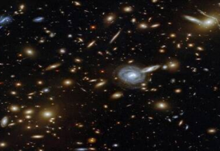 wp header logo1772812809507172809