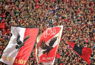 wp header logo17728128271437319248