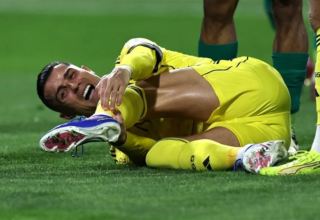 wp header logo1772856013110054855