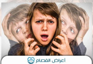 wp header logo1772856014354945066