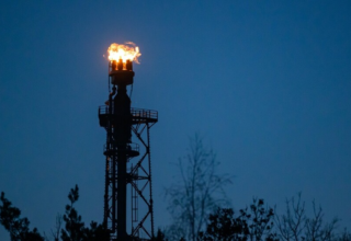 wp header logo17728848201155868752