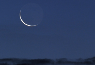 wp header logo1772892007825737615