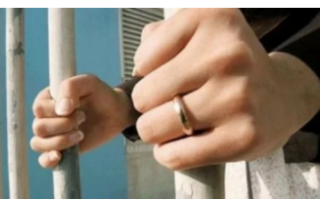 wp header logo17728992221361050265