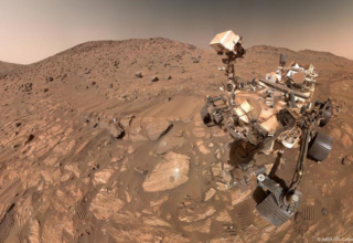 wp header logo177289923120445893