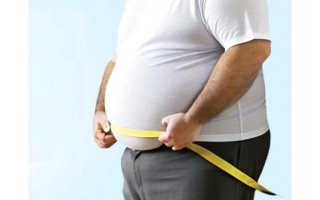 wp header logo1772928011718151292