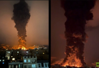 wp header logo17729316181980428716