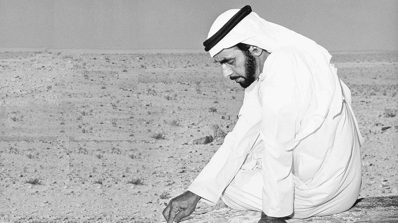 wp header logo1772931630679769868