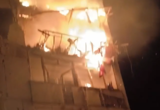 wp header logo17729316381206989931