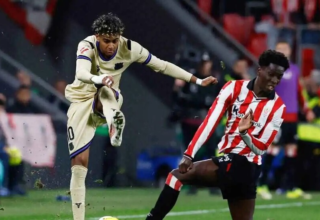 wp header logo17729532151261460248