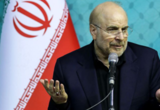 wp header logo1772956826382664513